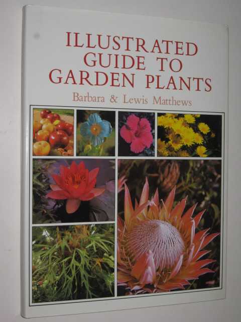 Image for Illustrated Guide To Garden Plants Illustrated Guide To Garden Plants