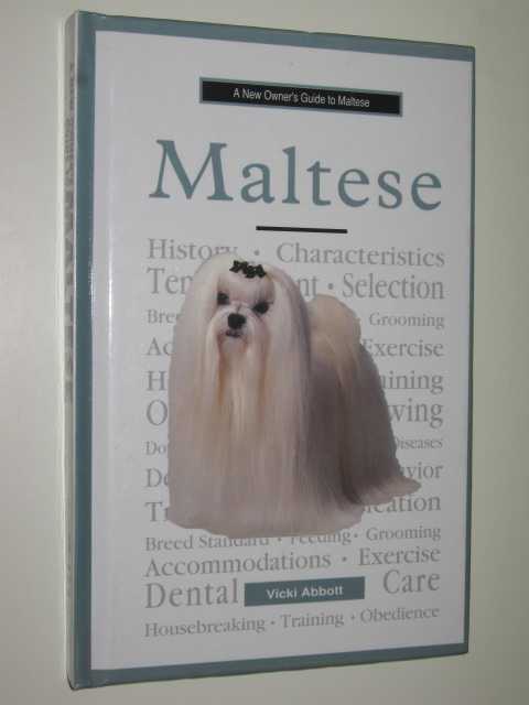 A New Owner's Guide To Maltese