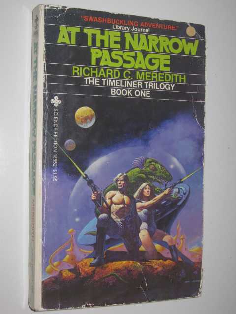At the Narrow Passage - Timeliner Trilogy #1
