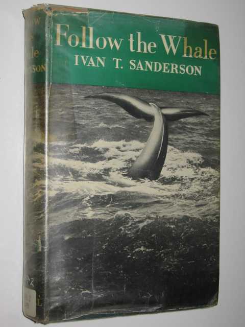 Follow the Whale