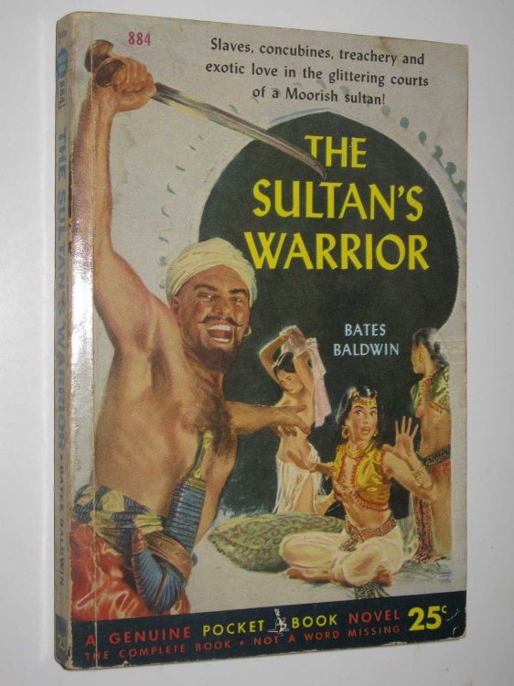 The Sultan's Warrior
