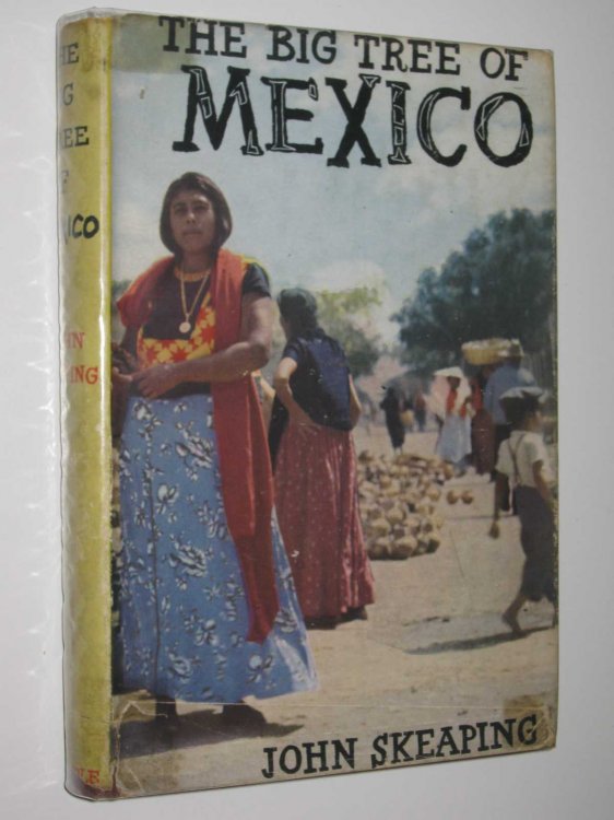 The Big Tree of Mexico