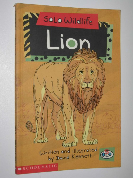 Lion - SOLO Wildlife Series