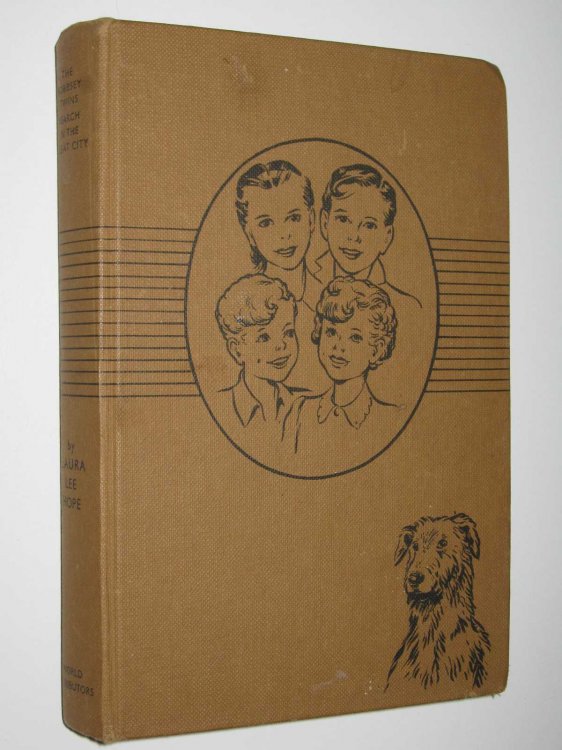 The Bobbsey Twins Search in the Great City