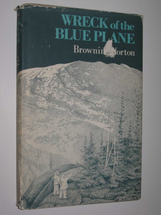 Wreck of the Blue Plane