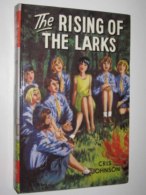 The Rising of the Larks
