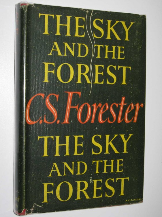 The Sky and the Forest
