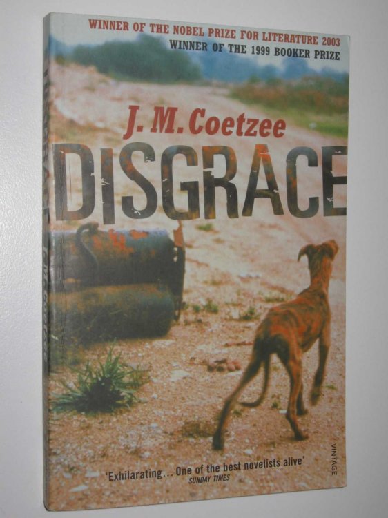 Disgrace