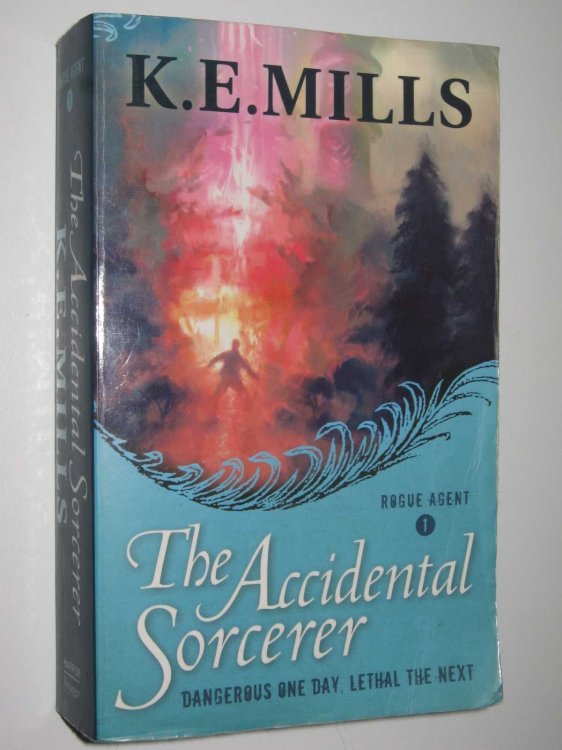 The Accidental Sorcerer - Rogue Agent Series #1