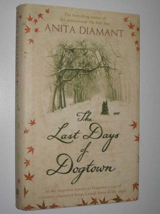 The Last Days of Dogtown