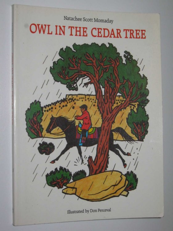 Owl in the Cedar Tree