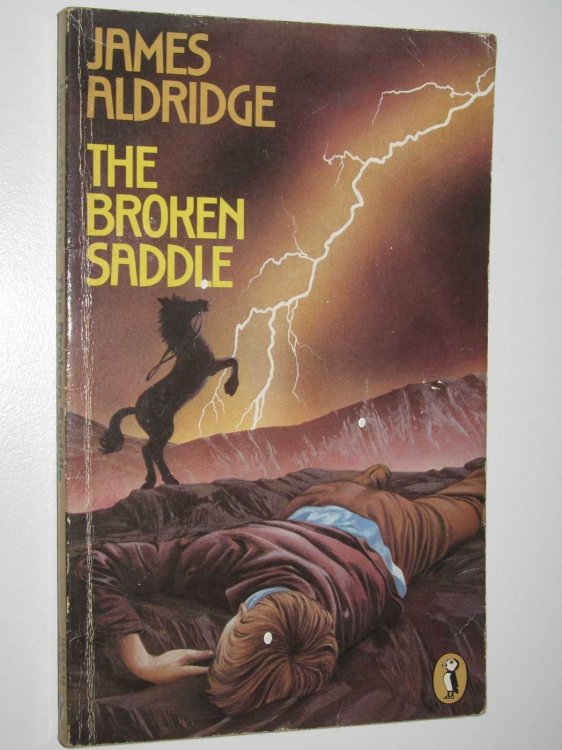 The Broken Saddle