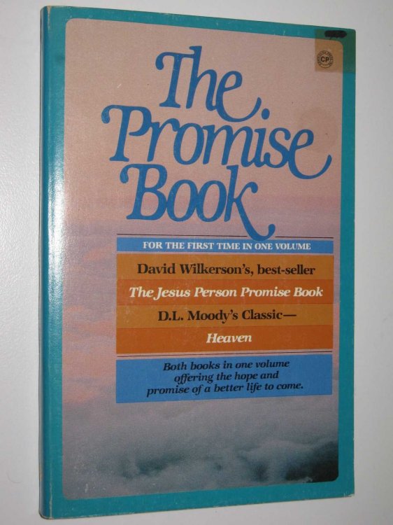 The Promise Book