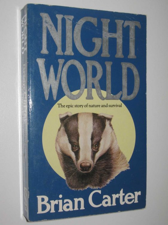 Nightworld