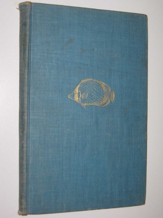 Blue Angels and Whales : A Record of Personal Experiences Below and Above Water