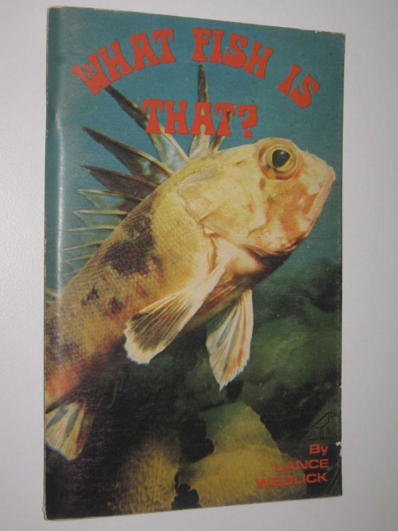 What Fish is That