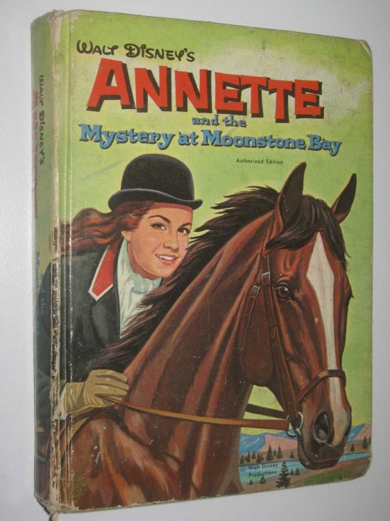 Annette and the Mystery at Moonstone Bay