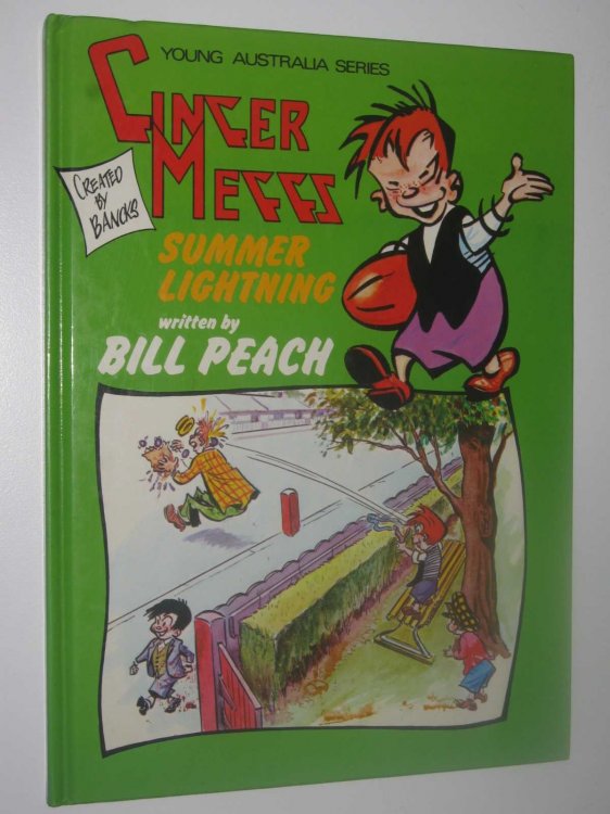 Ginger Meggs: Summer Lightning