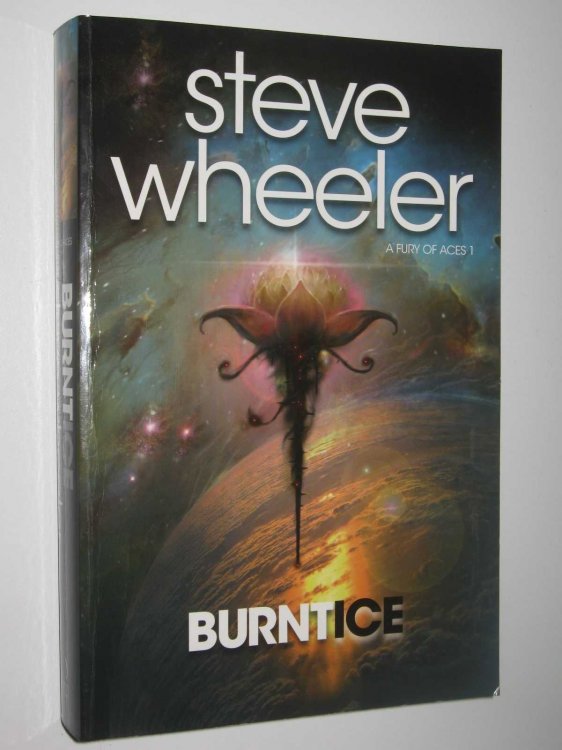 Burnt Ice - A Fury of Aces Series #1