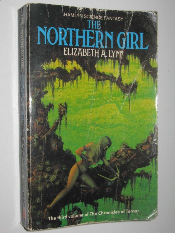 The Northern Girl - Chronicles of Tornor #3