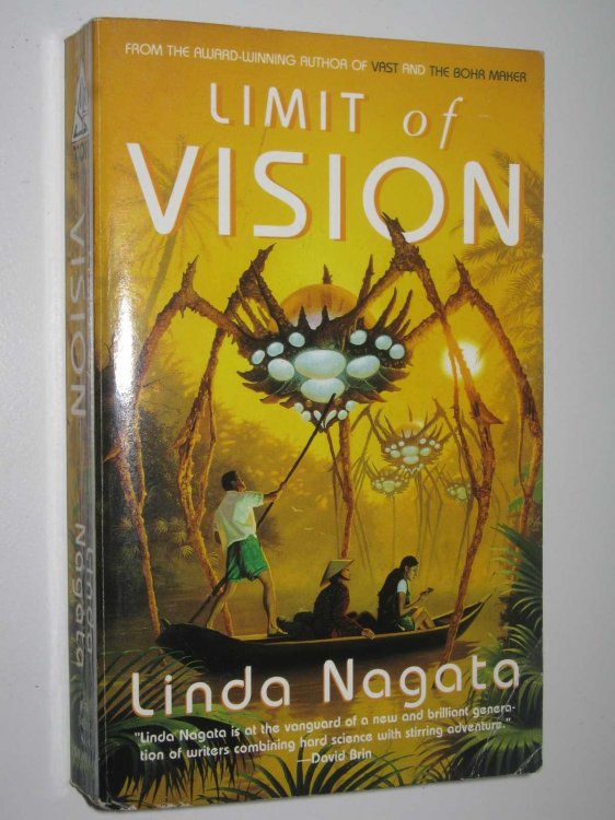 Limit of Vision