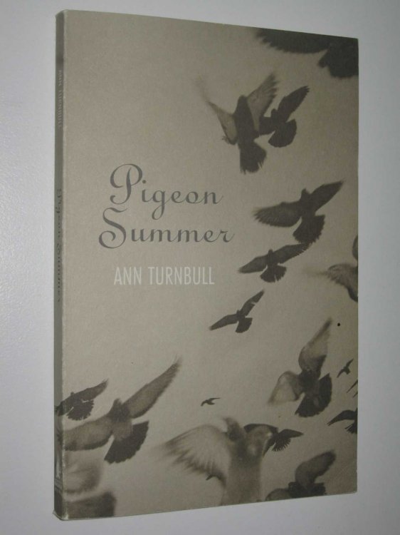 Pigeon Summer