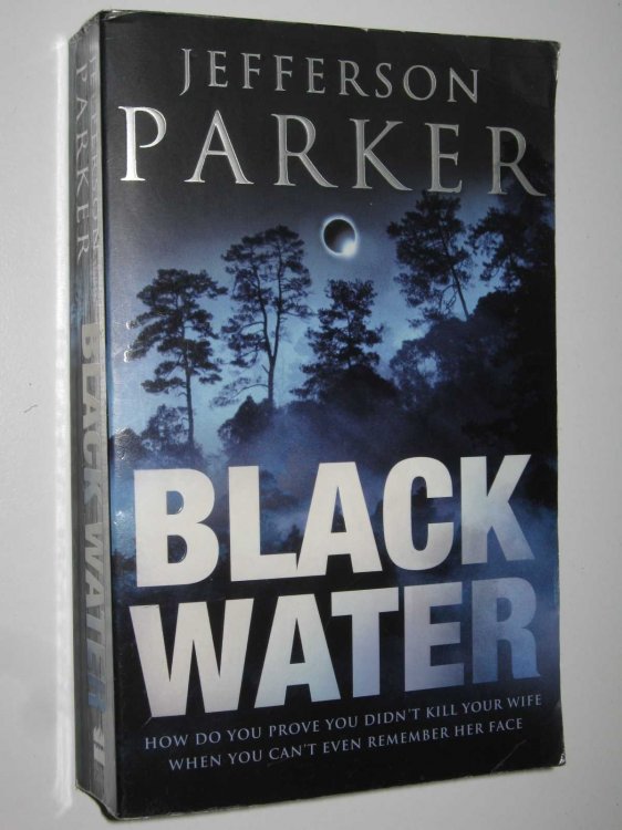 Black Water - Merci Rayborn Series #3
