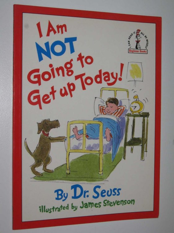 I Am Not Going to Get Up Today