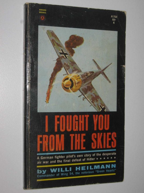 I Fought You from the Skies : A German Fighter Pilot's Story