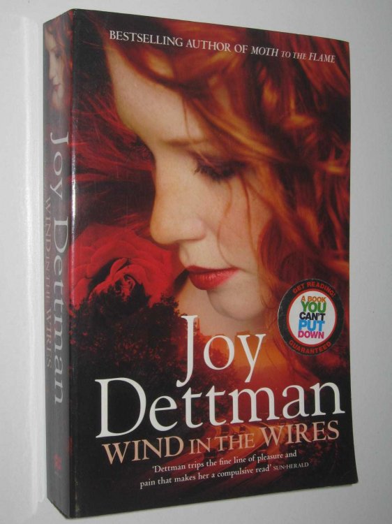 Wind in the Wires - Woody Creek Series #4