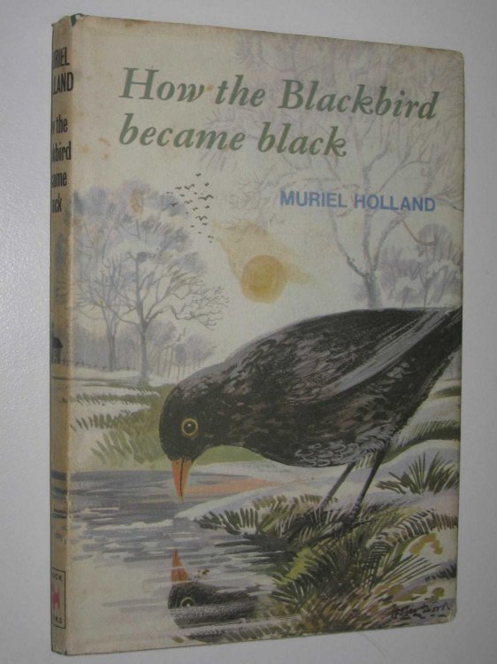How the Blackbird Became Black and Other Stories