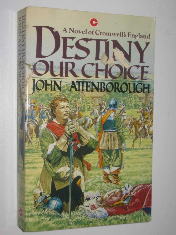 Destiny Our Choice