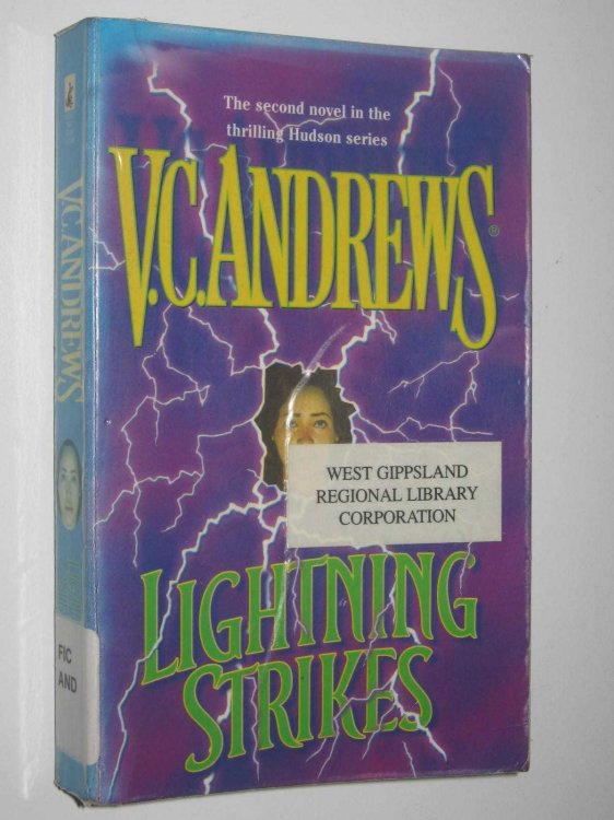 Lightning Strikes - Hudson Family Series #2