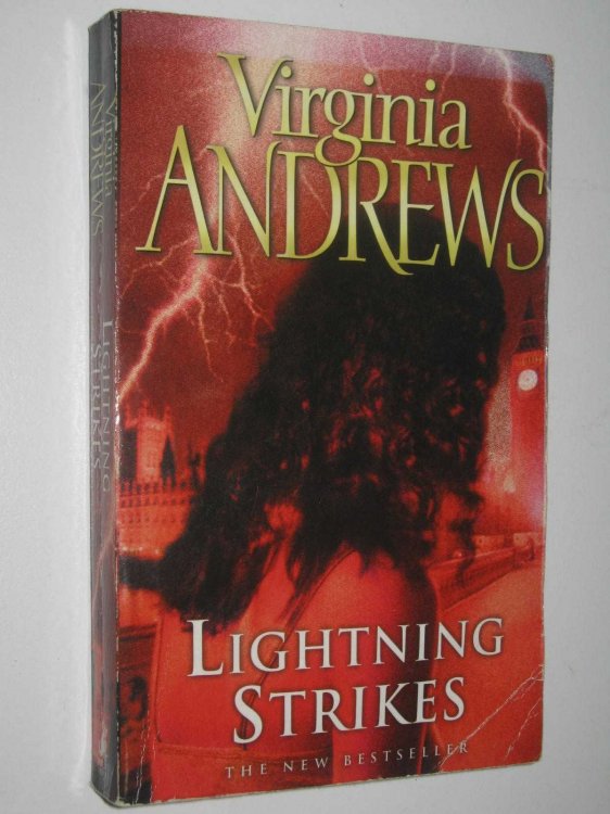 Lightning Strikes - Hudson Family Series #2
