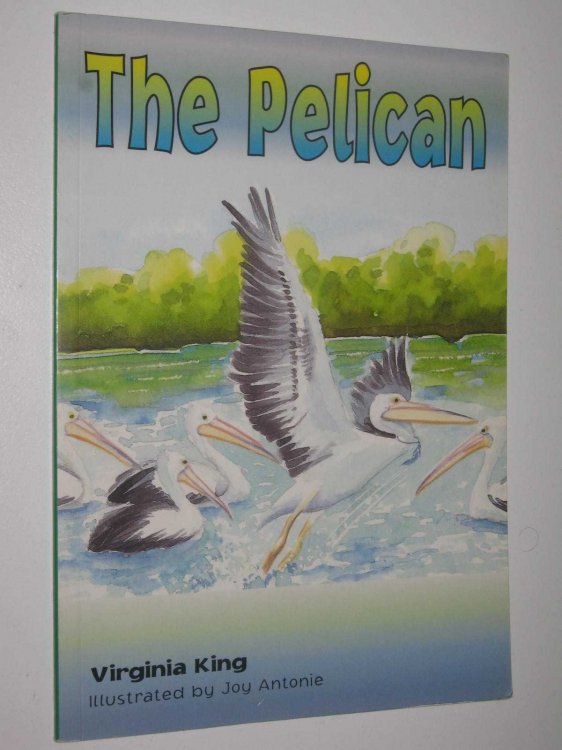 The Pelican - Momentum Series #6.3