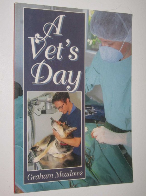A Vet's Day - Momentum Series #6.1
