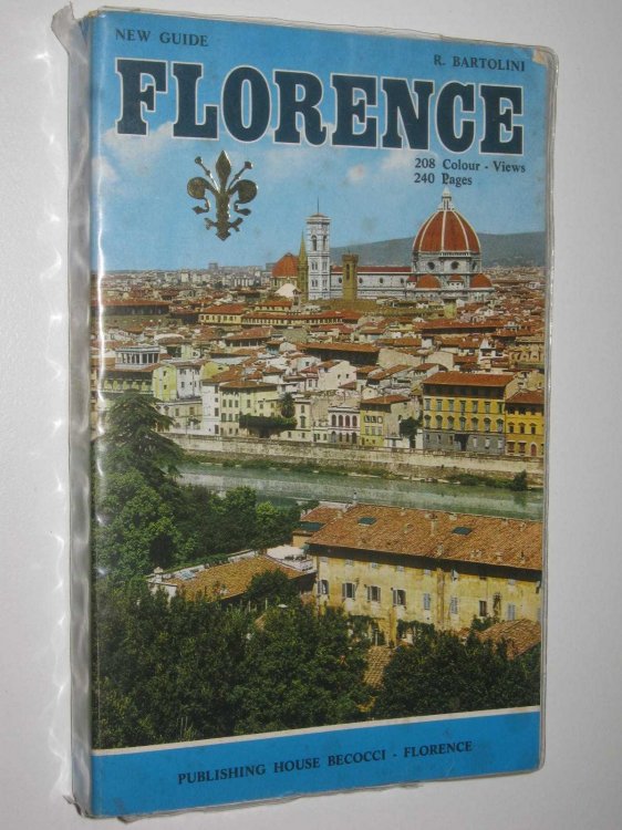 Florence And Its Hills
