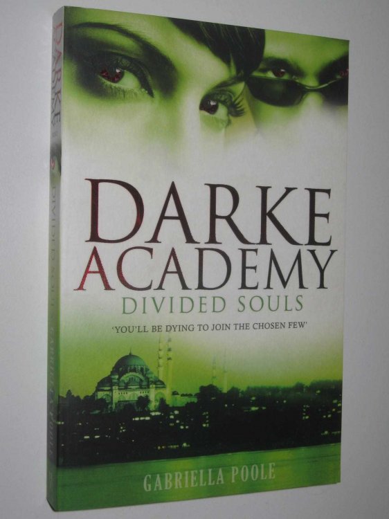 Divided Souls - Darke Academy Series #3