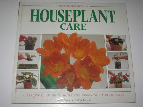 A Step By -Step Guide To Houseplant Care