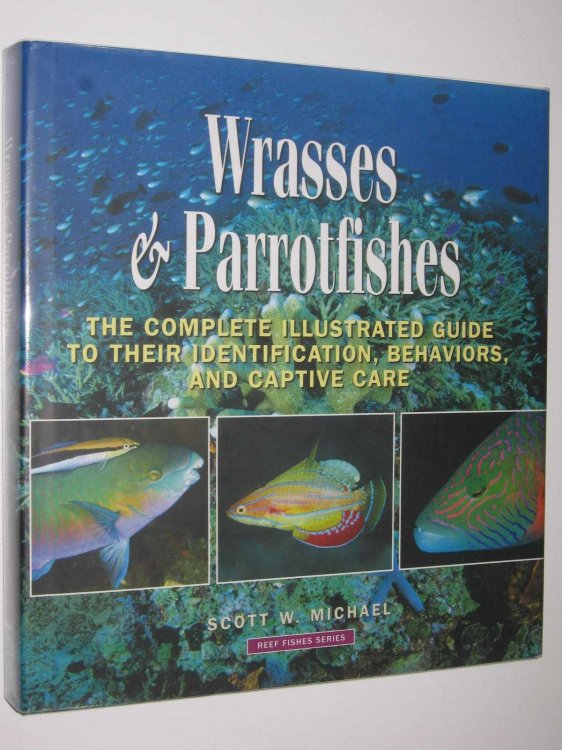 Wrasses and Parrotfishes - Reef Fishes Series #5