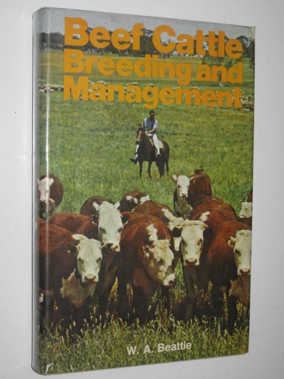 Beef Cattle Breeding and Management
