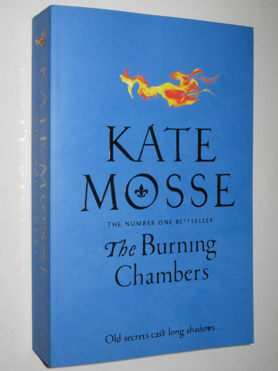 The Burning Chambers - Joubert Family Chronicles #1