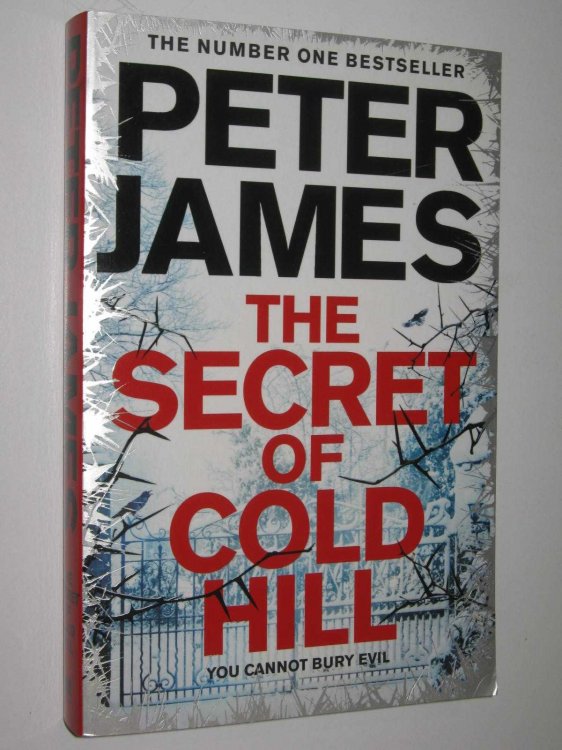 The Secret Of Cold Hill - Cold Hill Series #2