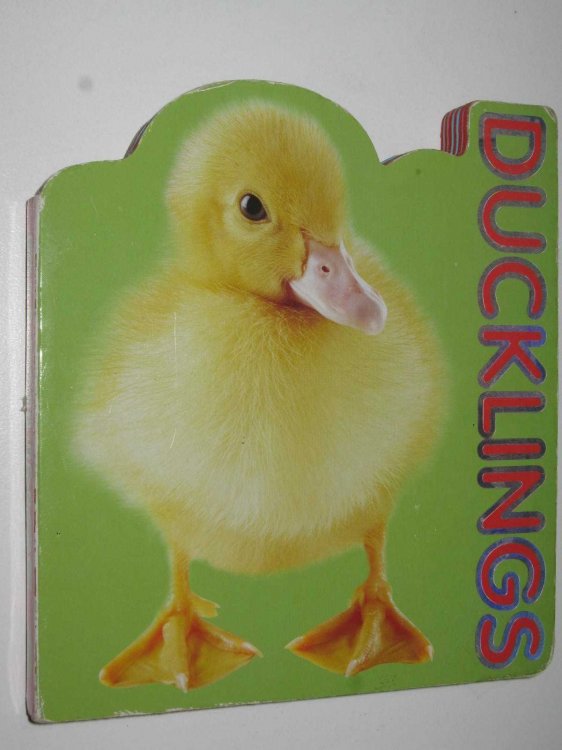 Ducklings