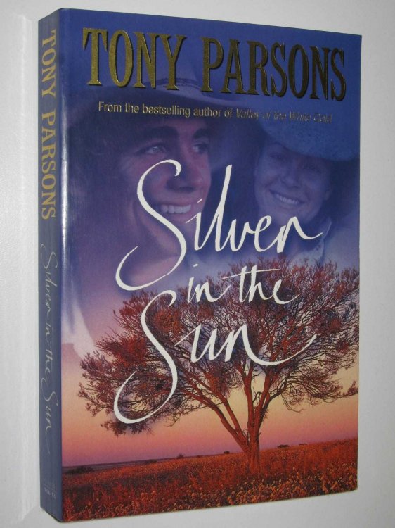Silver in the Sun