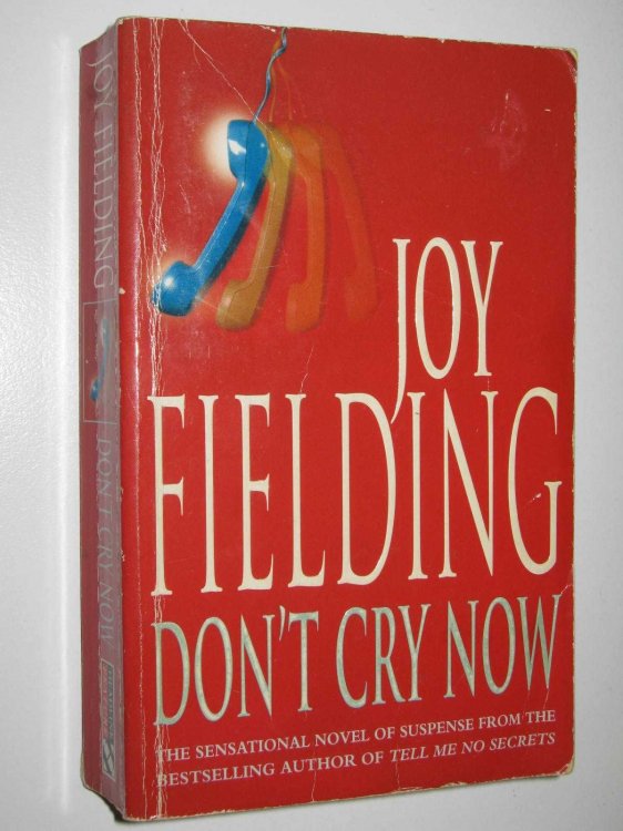 Don't Cry Now