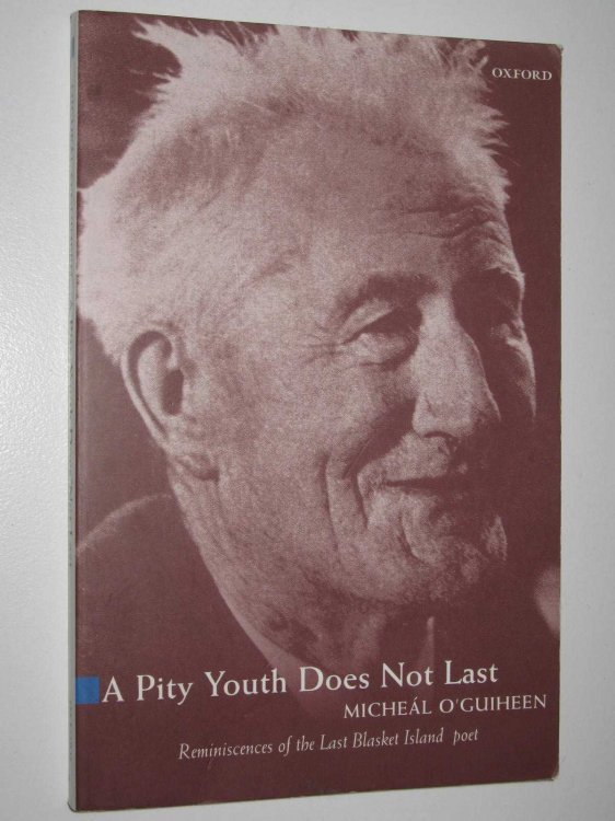 A Pity Youth Does Not Last : Reminiscences of the Last of the Great Blasket Island's Poet