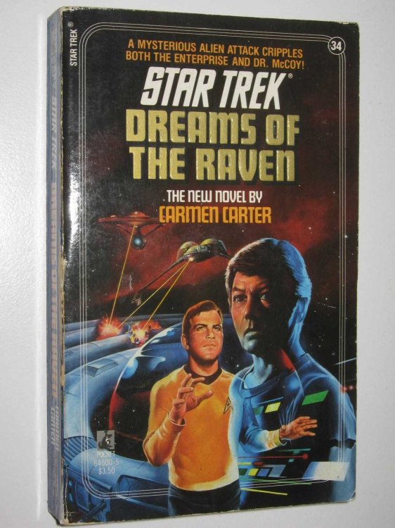 Dreams of the Raven - Star Trek #34