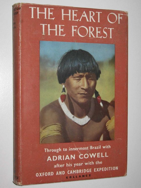 The Heart Of The Forest