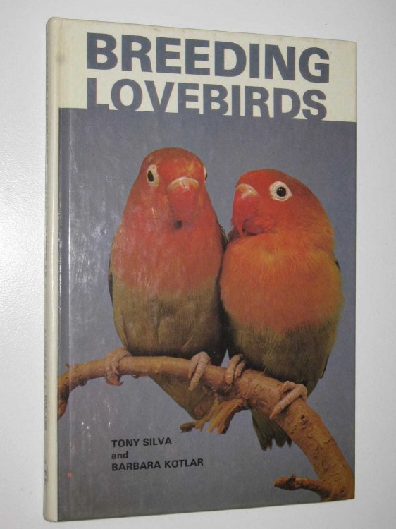 Breeding Lovebirds
